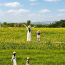 苏州旅游 缩略图 2