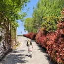 苏州旅游 缩略图 10