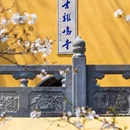 南京旅游 缩略图 12