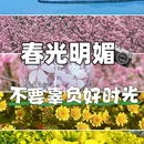 苏州旅游 缩略图 9