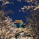 南京旅游 缩略图 16