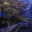 南京旅游 缩略图 7