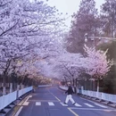 南京旅游 缩略图 11