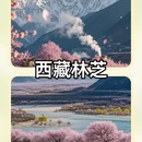 深圳旅游 缩略图 2