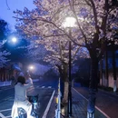 南京旅游 缩略图 5