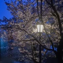 南京旅游 缩略图 6