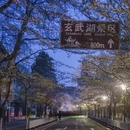 南京旅游 缩略图 4