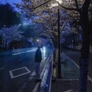 南京旅游 缩略图 13
