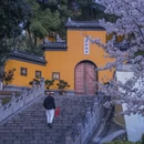 南京旅游 缩略图 8