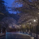 南京旅游 缩略图 10