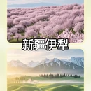 深圳旅游 缩略图 7