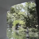苏州旅游 缩略图 7