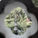苏州旅游 缩略图 8