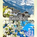 深圳旅游 缩略图 9