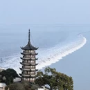 嘉兴旅游 缩略图 2