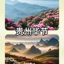 深圳旅游 缩略图 6