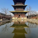 上海旅游 缩略图 8