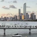苏州旅游 缩略图 2