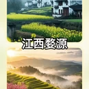 深圳旅游 缩略图 3