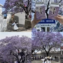 凉山旅游 缩略图 1