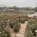 郑州旅游 缩略图 5