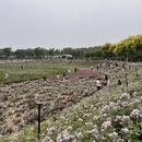郑州旅游 缩略图 8