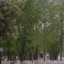 武汉旅游 缩略图 10