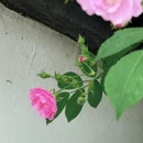 无锡旅游 缩略图 11