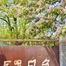 北京旅游 缩略图 6