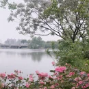 武汉旅游 缩略图 1