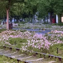 武汉旅游 缩略图 7