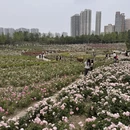 郑州旅游 缩略图 1