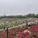 郑州旅游 缩略图 4