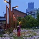 武汉旅游 缩略图 2