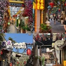 上海旅游 缩略图 7