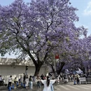 凉山旅游 缩略图 2