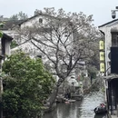 绍兴旅游 缩略图 1