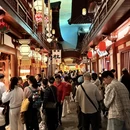 扬州旅游 缩略图 6
