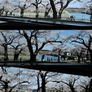 牡丹江旅游 缩略图 1