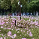 武汉旅游 缩略图 10