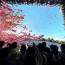 扬州旅游 缩略图 3