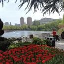 大连旅游 缩略图 2