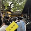 苏州旅游 缩略图 8