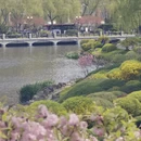 大连旅游 缩略图 13