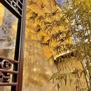 苏州旅游 缩略图 3