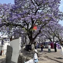 凉山旅游 缩略图 8