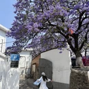 凉山旅游 缩略图 3