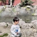 无锡旅游 缩略图 15