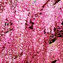 北京旅游 缩略图 7