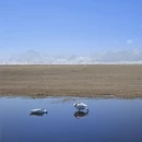 乌鲁木齐旅游 缩略图 11